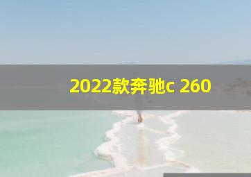 2022款奔驰c 260